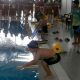 Encuentro acuático con pequeños que muestran mucho talento para la natación