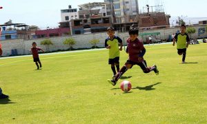 Panorama de los campeonatos oficiales del fútbol de menores en el departamento de Arequipa