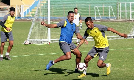 Llegó este año procedente de Real Garcilaso.