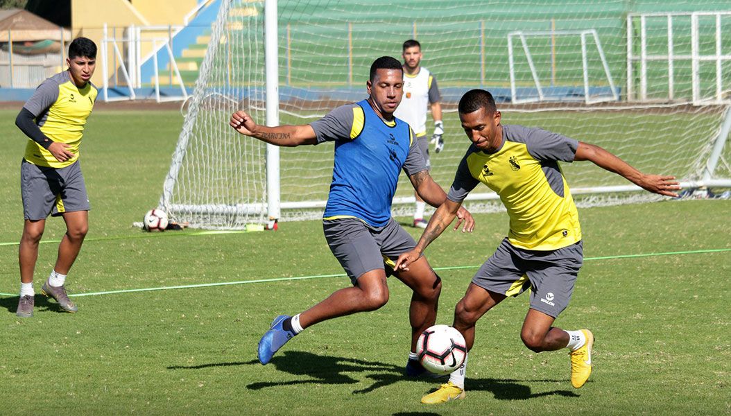 Llegó este año procedente de Real Garcilaso.