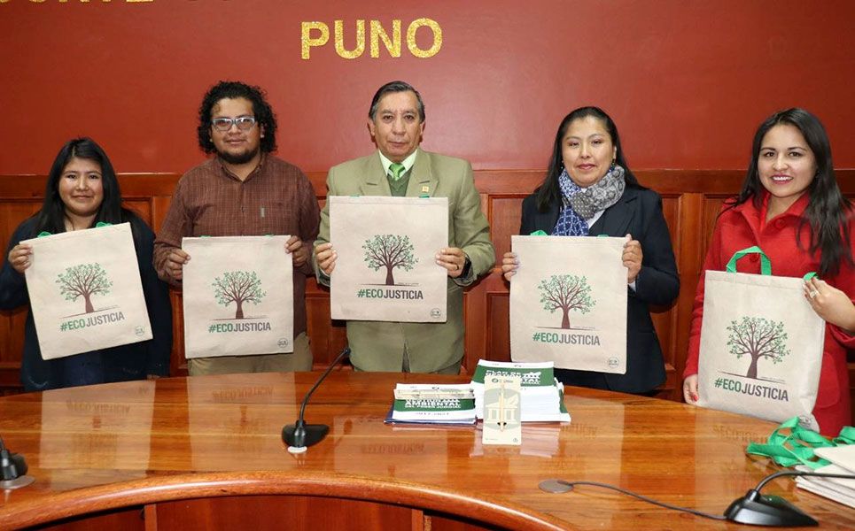 Jornada "Eco Justicia" se realiza este 8 de junio en la vía Juliaca - Coata.