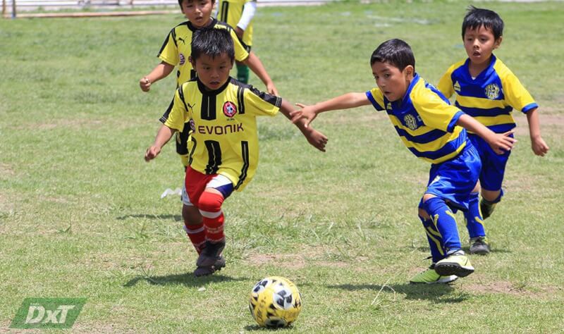 Programación de los torneos Creciendo con el Fútbol y Copa Federación en Arequipa