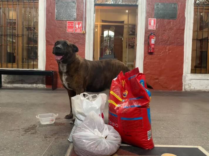 Scooby y sus amigos recibieron comida