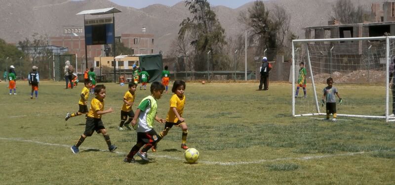 Faltan cuatro fechas para el final de Creciendo con el Fútbol.