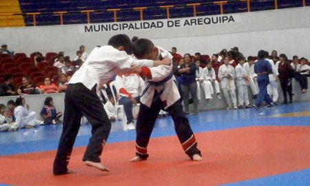 Niñas y niños judocas compitieron por la Copa Ccorito