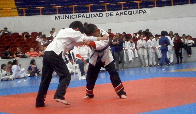 Niñas y niños judocas compitieron por la Copa Ccorito