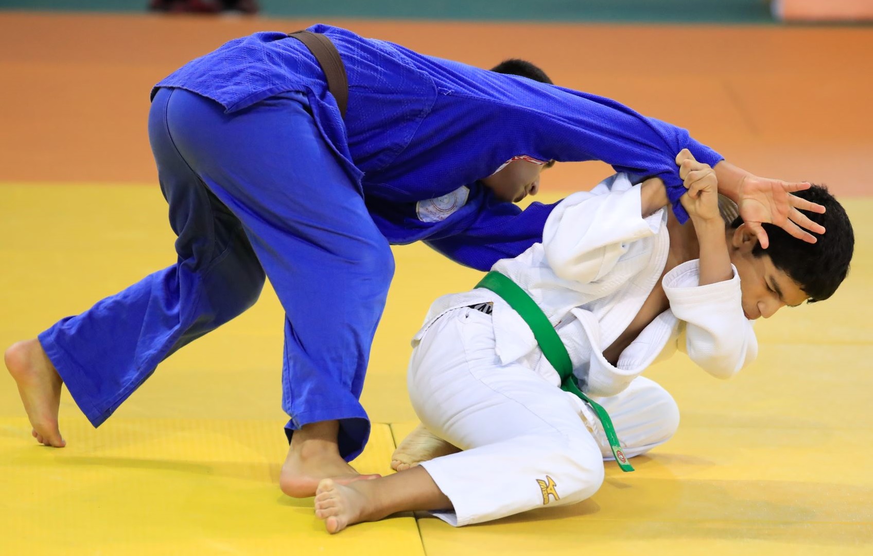 Arequipeños ganan en el judo. Hoy juegan la final en handball y básquet