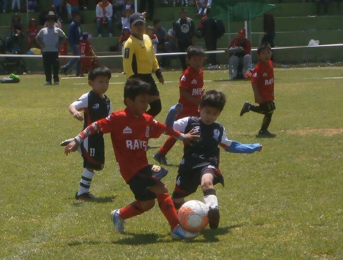 Programan semifinales de Creciendo con el Fútbol y Federativa. Además reprograman partido de Guerreros vs. Ínter en la sub-8.